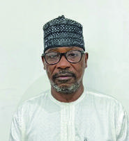 Adamu Siddiki Abubakar, Pattison Consulting associate